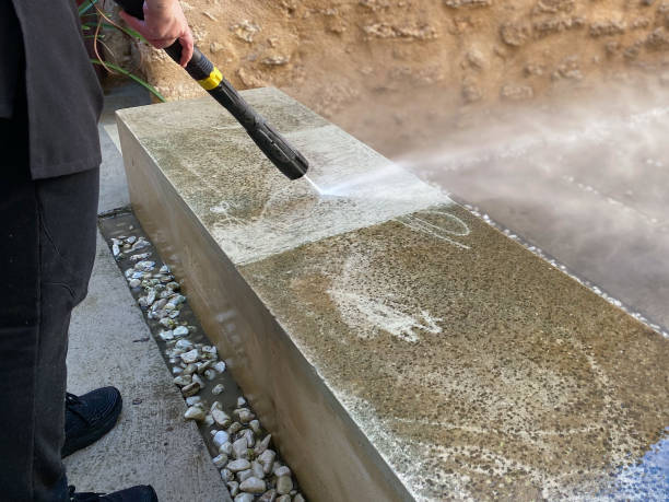 Best Pressure Washing Driveway  in Lake City, AR